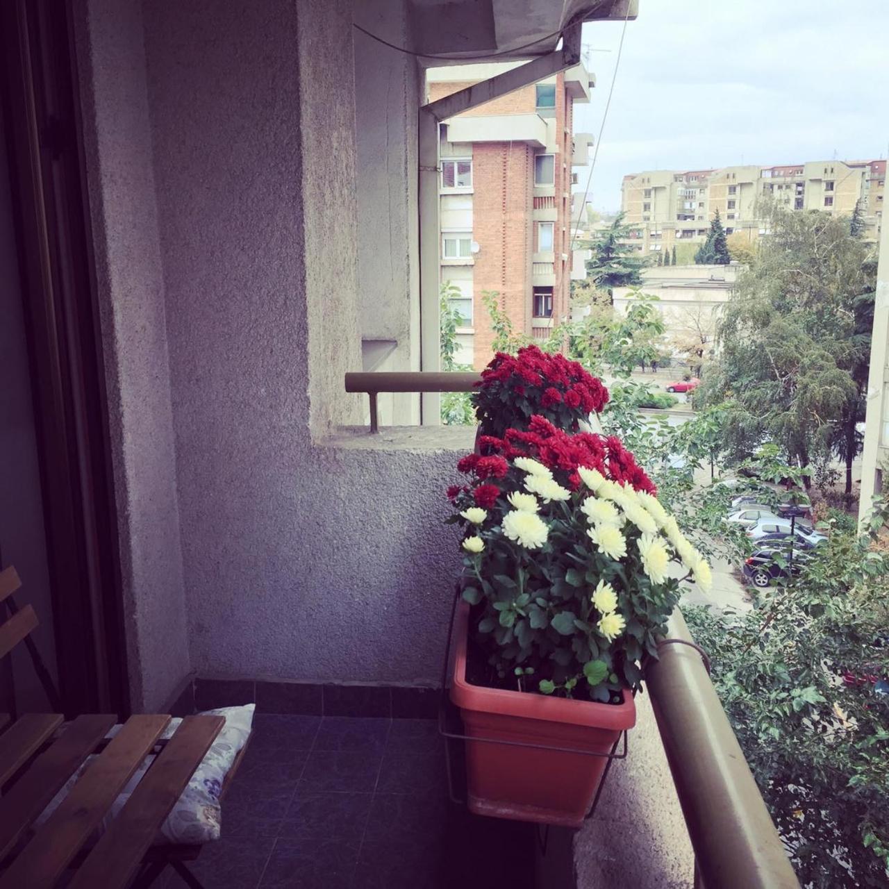 3 Bedroom Home With Parking Garage In The Heart Of Skopje Exterior foto